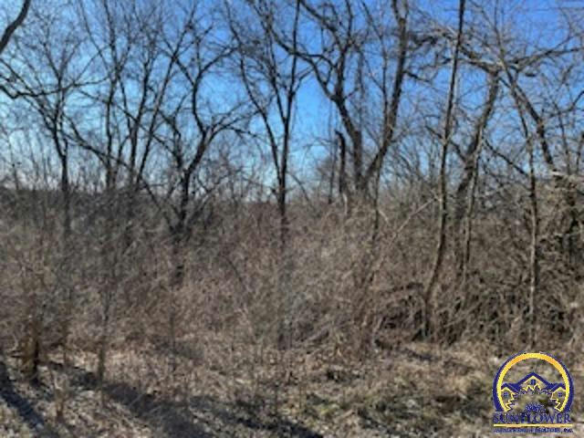 6529 RIDGEVIEW DR, OZAWKIE, KS 66070, photo 1 of 3